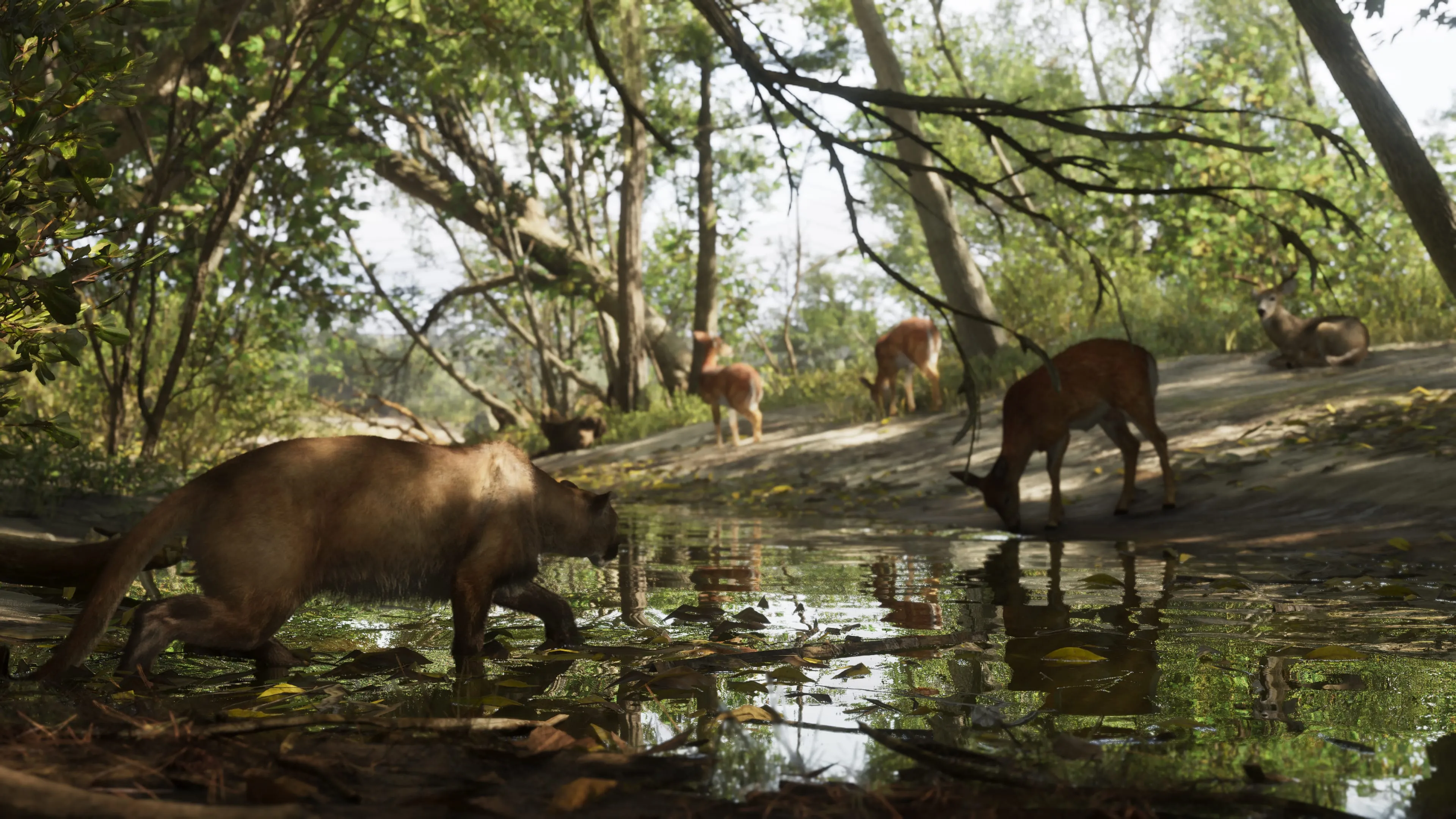 GTA 6 a panther at a stream in Mount Kalaga National Park